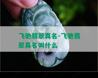 飞驰翡翠真名-飞驰翡翠真名叫什么