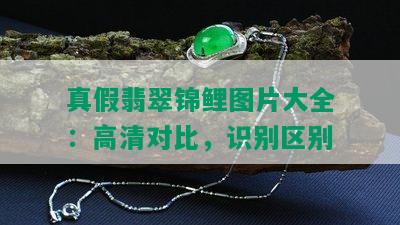 真假翡翠锦鲤图片大全：高清对比，识别区别