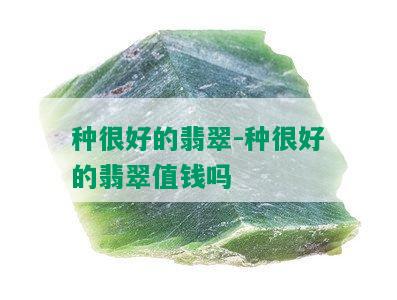 种很好的翡翠-种很好的翡翠值钱吗