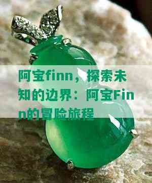 阿宝finn，探索未知的边界：阿宝Finn的冒险旅程