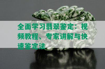 全面学习翡翠鉴定：视频教程、专家讲解与快速鉴定法