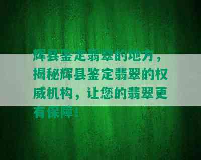 辉县鉴定翡翠的地方，揭秘辉县鉴定翡翠的权威机构，让您的翡翠更有保障！