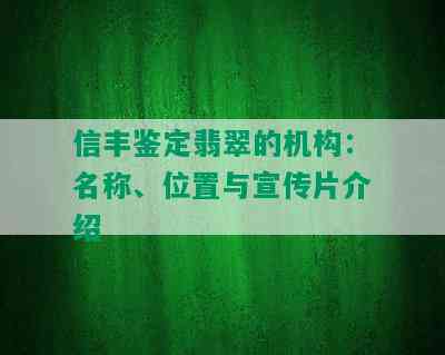 信丰鉴定翡翠的机构：名称、位置与宣传片介绍