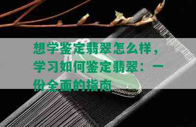 想学鉴定翡翠怎么样，学习如何鉴定翡翠：一份全面的指南