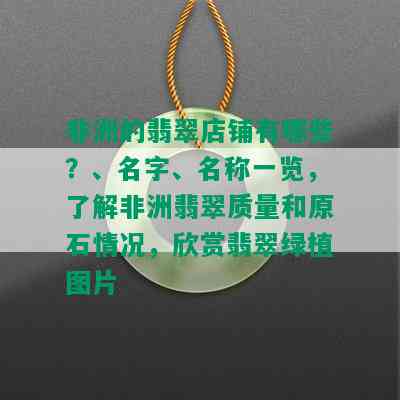 非洲的翡翠店铺有哪些？、名字、名称一览，了解非洲翡翠质量和原石情况，欣赏翡翠绿植图片