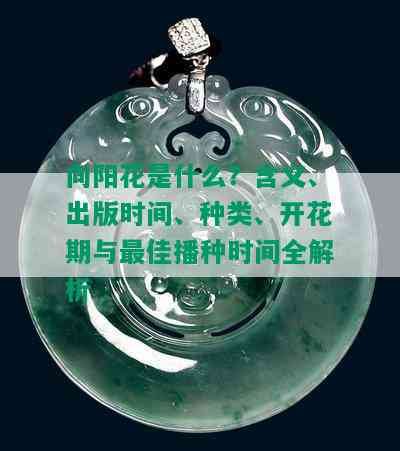 向阳花是什么？含义、出版时间、种类、开花期与更佳播种时间全解析