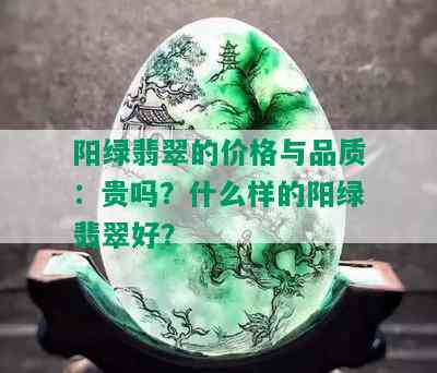 阳绿翡翠的价格与品质：贵吗？什么样的阳绿翡翠好？