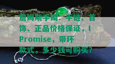 詹姆斯手镯：手链、首饰、正品价格保证，IPromise，带环款式，多少钱可购买？