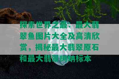 探索世界之最：更大翡翠鱼图片大全及高清欣赏，揭秘更大翡翠原石和更大翡翠树蚺标本