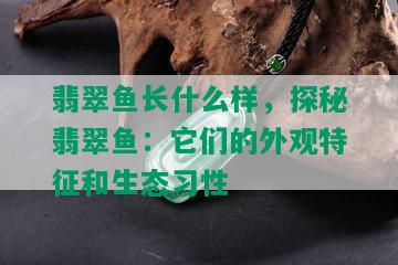 翡翠鱼长什么样，探秘翡翠鱼：它们的外观特征和生态习性