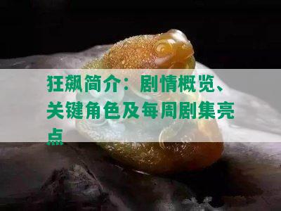 狂飙简介：剧情概览、关键角色及每周剧集亮点