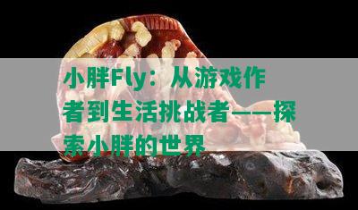 小胖Fly：从游戏作者到生活挑战者——探索小胖的世界