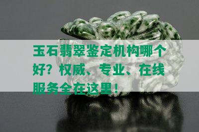 玉石翡翠鉴定机构哪个好？权威、专业、在线服务全在这里！