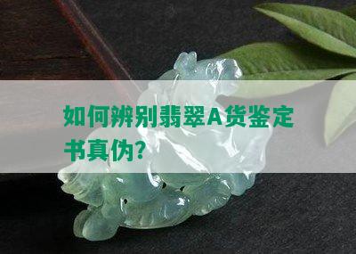 如何辨别翡翠A货鉴定书真伪？