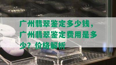 广州翡翠鉴定多少钱，广州翡翠鉴定费用是多少？价格解析