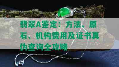 翡翠A鉴定：方法、原石、机构费用及证书真伪查询全攻略