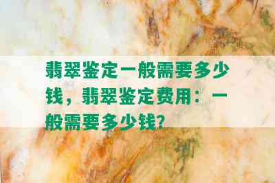 翡翠鉴定一般需要多少钱，翡翠鉴定费用：一般需要多少钱？