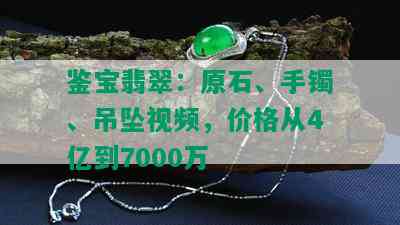 鉴宝翡翠：原石、手镯、吊坠视频，价格从4亿到7000万