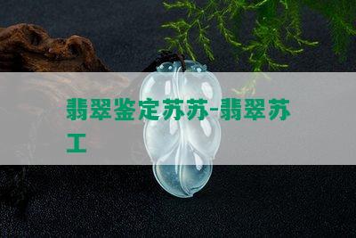 翡翠鉴定苏苏-翡翠苏工