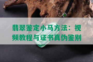 翡翠鉴定小马方法：视频教程与证书真伪鉴别