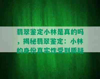 翡翠鉴定小林是真的吗，揭秘翡翠鉴定：小林的身份真实性受到质疑