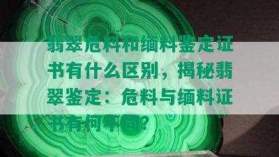 翡翠危料和缅料鉴定证书有什么区别，揭秘翡翠鉴定：危料与缅料证书有何不同？