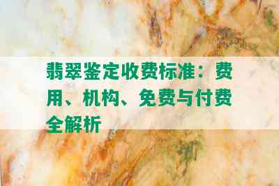 翡翠鉴定收费标准：费用、机构、免费与付费全解析