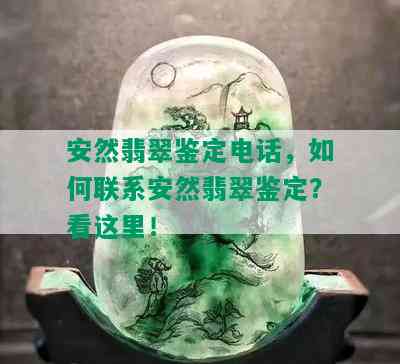 安然翡翠鉴定电话，如何联系安然翡翠鉴定？看这里！