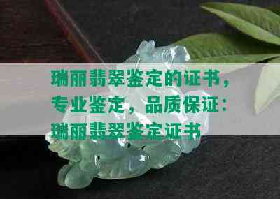 瑞丽翡翠鉴定的证书，专业鉴定，品质保证：瑞丽翡翠鉴定证书