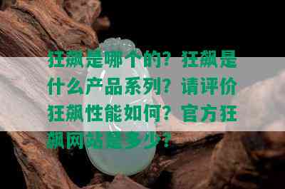 狂飙是哪个的？狂飙是什么产品系列？请评价狂飙性能如何？官方狂飙网站是多少？