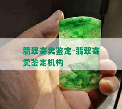 翡翠寄卖鉴定-翡翠寄卖鉴定机构