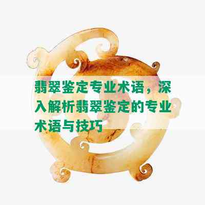 翡翠鉴定专业术语，深入解析翡翠鉴定的专业术语与技巧