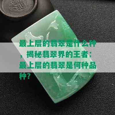 最上层的翡翠是什么种，揭秘翡翠界的王者：最上层的翡翠是何种品种？