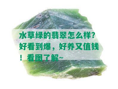 水草绿的翡翠怎么样？好看到爆，好养又值钱！看图了解~