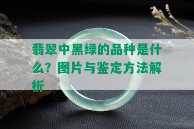 翡翠中黑绿的品种是什么？图片与鉴定方法解析