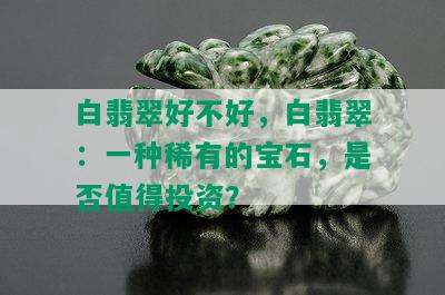 白翡翠好不好，白翡翠：一种稀有的宝石，是否值得投资？