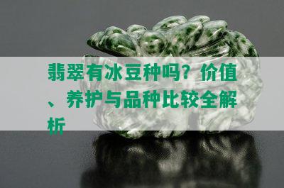 翡翠有冰豆种吗？价值、养护与品种比较全解析