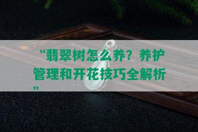 “翡翠树怎么养？养护管理和开花技巧全解析”