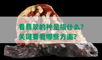 看翡翠的种是指什么？关键要看哪些方面？