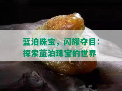 蓝泊珠宝，闪耀夺目：探索蓝泊珠宝的世界