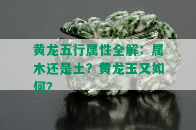 黄龙五行属性全解：属木还是土？黄龙玉又如何？