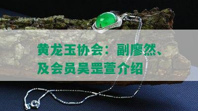 黄龙玉协会：副廖然、及会员吴罡萱介绍