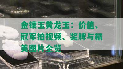 金镶玉黄龙玉：价值、冠军拍视频、奖牌与精美图片全览