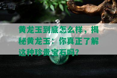 黄龙玉到底怎么样，揭秘黄龙玉：你真正了解这种珍贵宝石吗？