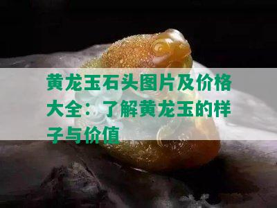 黄龙玉石头图片及价格大全：了解黄龙玉的样子与价值