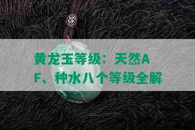 黄龙玉等级：天然A F、种水八个等级全解