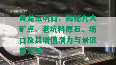 黄龙玉坑口：揭秘九大矿点、老坑料原石、场口及其增值潜力与景区黄龙玉