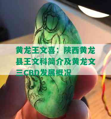 黄龙王文喜：陕西黄龙县王文科简介及黄龙文三CBD发展概况