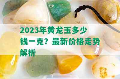 2023年黄龙玉多少钱一克？最新价格走势解析