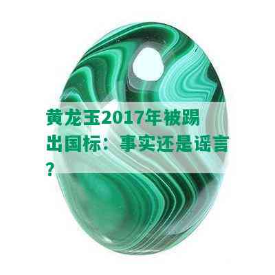 黄龙玉2017年被踢出国标：事实还是谣言？